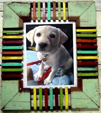 HN021(SN267)  // Skittles Wood Slats Picture Frame 8x10