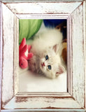 Recycled Wood 4x6-inch Single Photo Frame (NS-46)